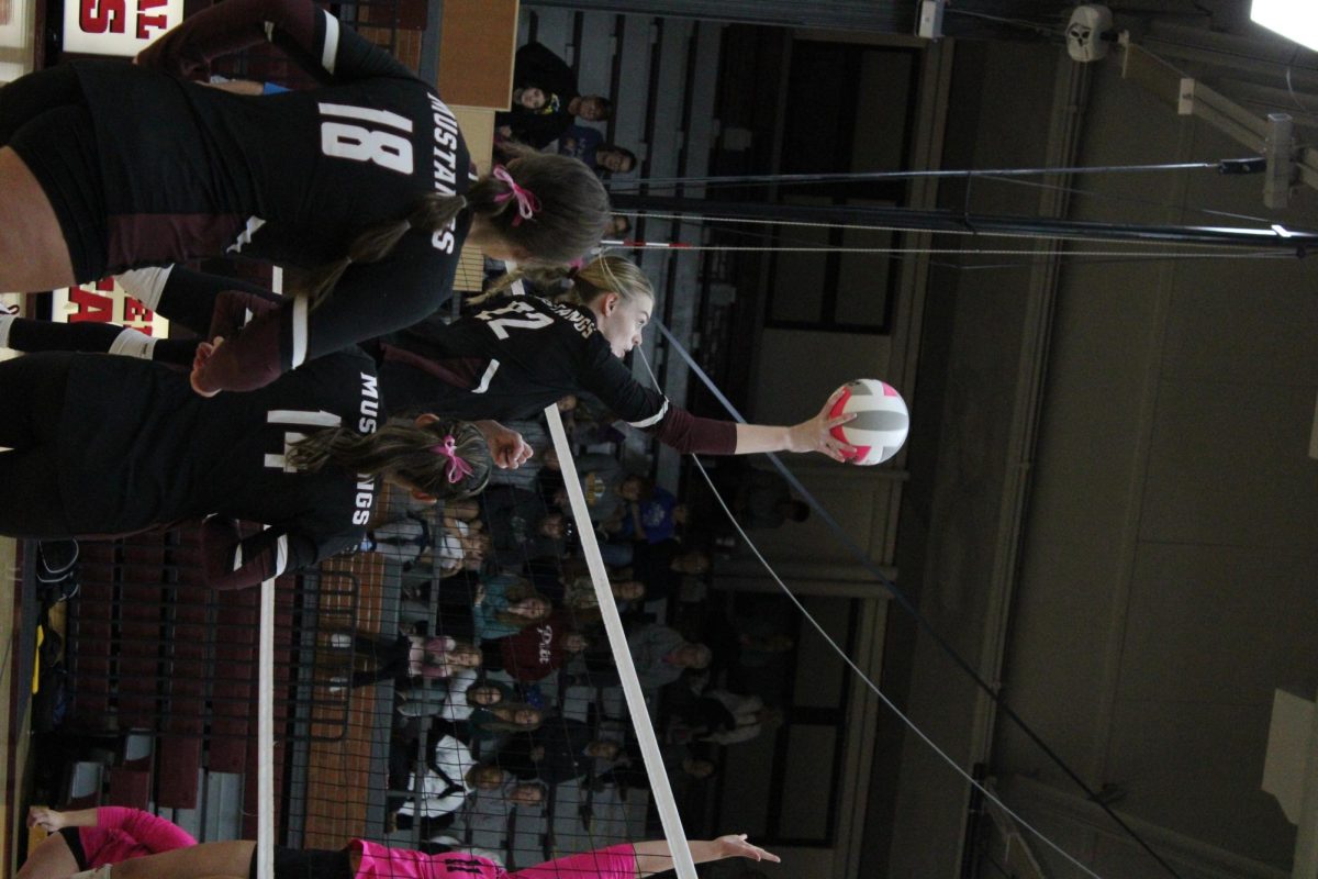 Varsity Volleyball vs. South - Senior Night 10/15 (Photo Gallery)