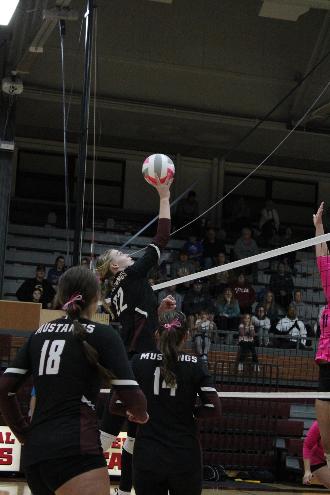 Varsity Volleyball vs. South - Senior Night 10/15 (Photo Gallery)