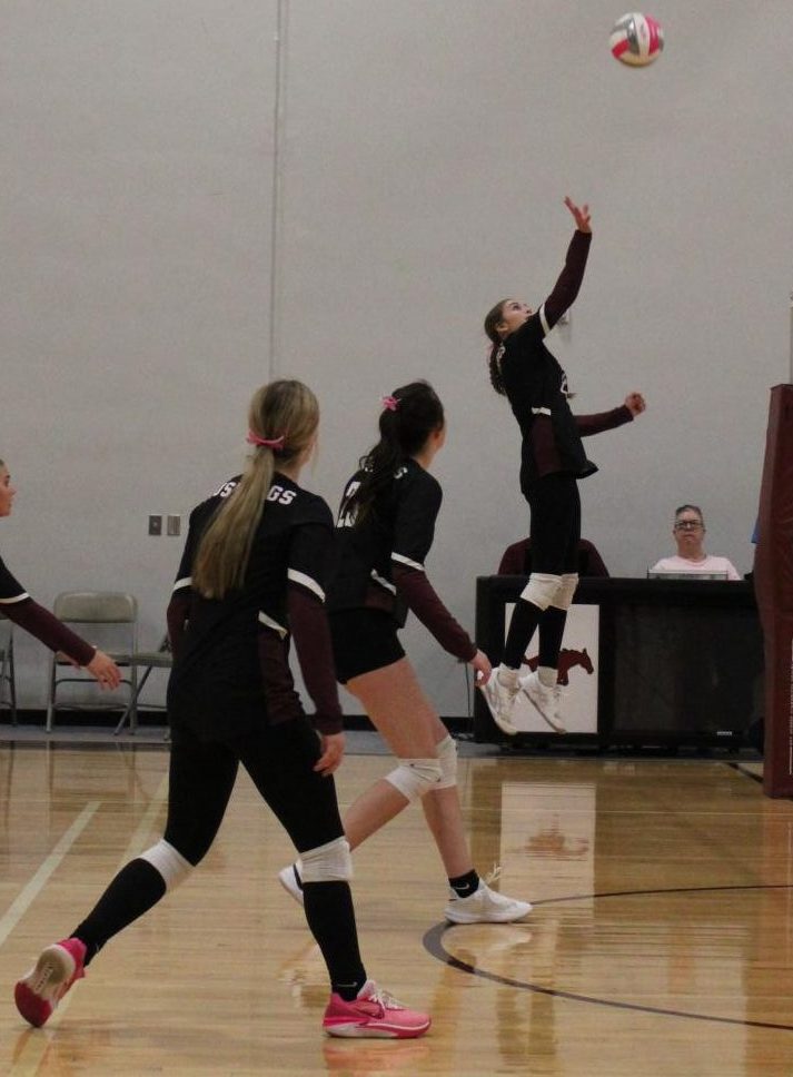 JV Volleyball vs. South 10/15 (Photo Gallery)