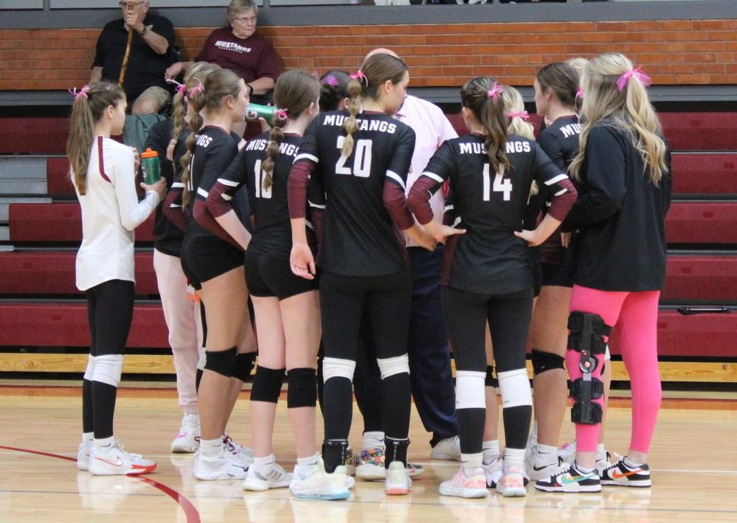 Varsity Volleyball vs. South - Senior Night 10/15 (Photo Gallery)