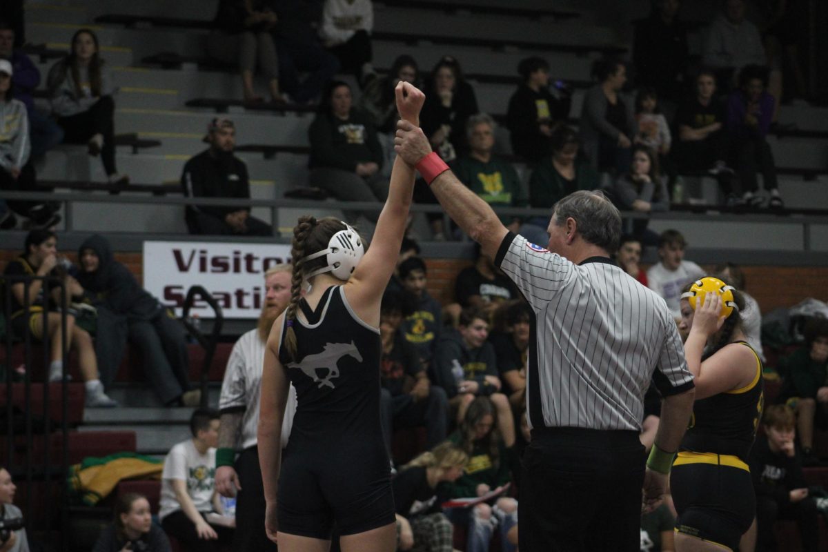 Next generation of Mustang wrestling