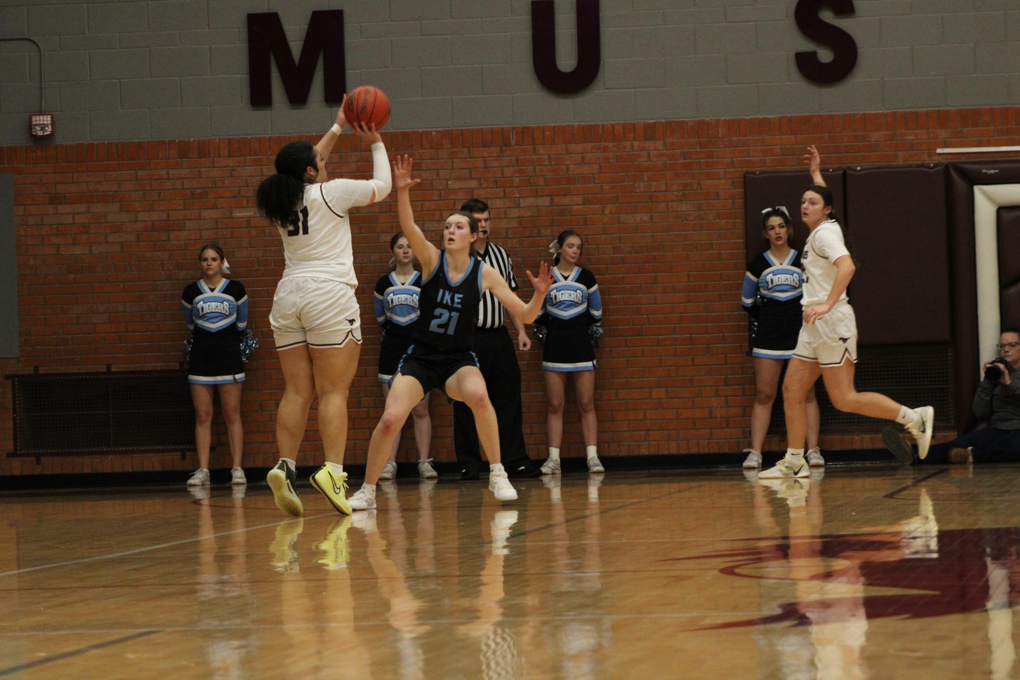 Varsity Girls Basketball vs. Eisenhower 1/17 (Photo Gallery)