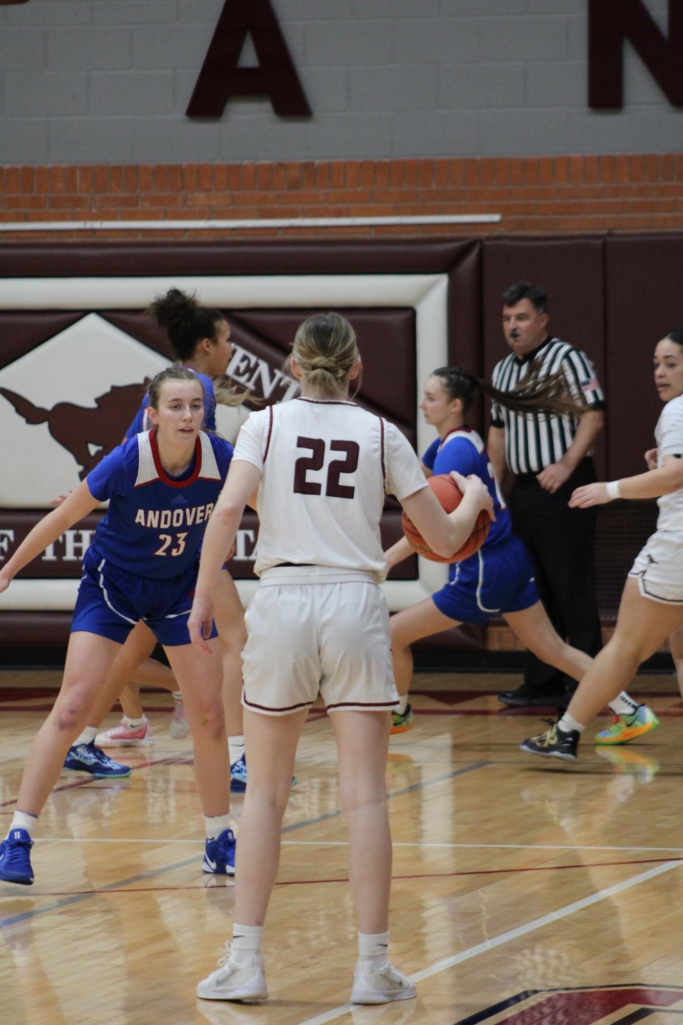 Varsity Girls Basketball vs. Andover 1/30 Photo Gallery