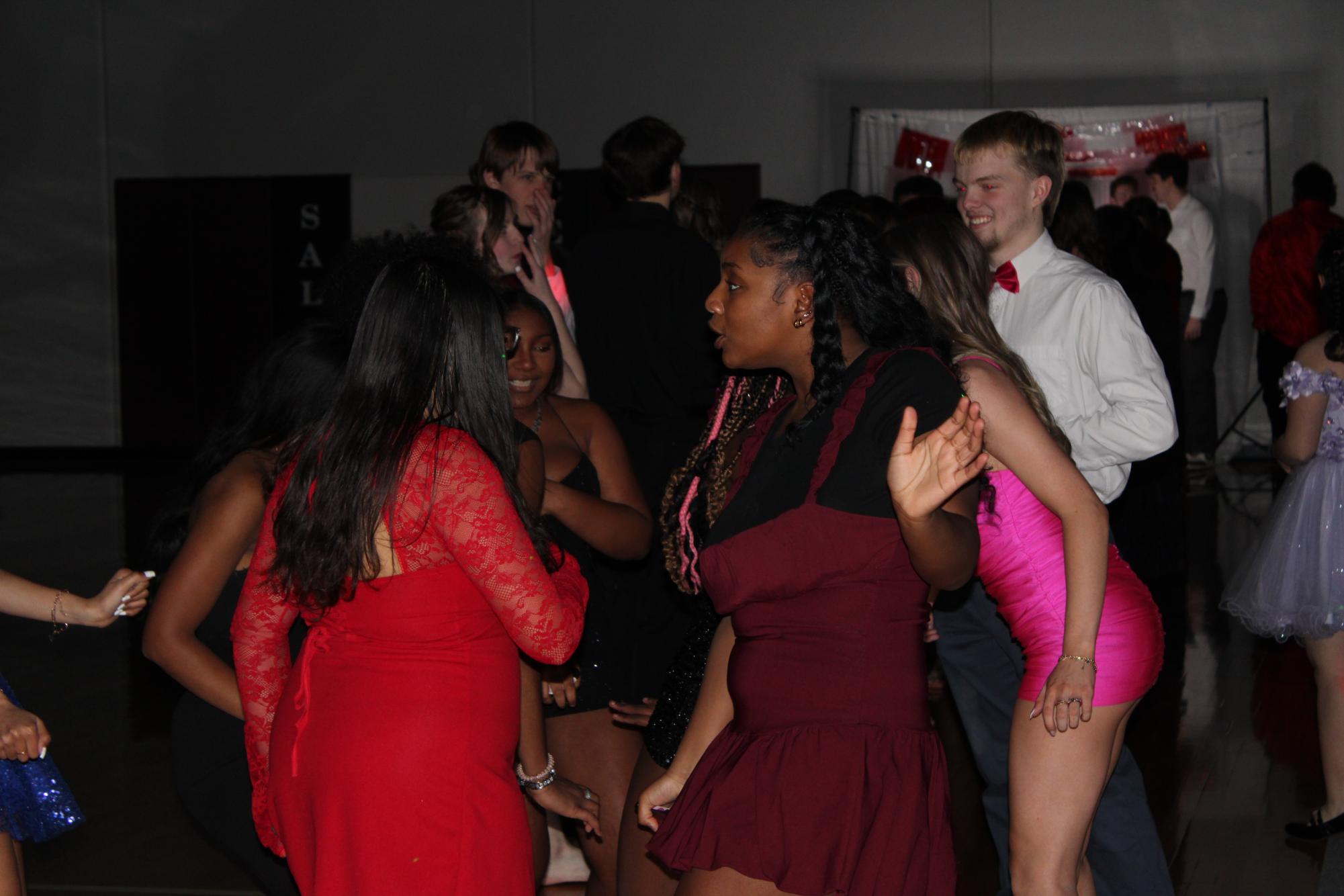 Sadie’s 2/15/2025 Photo Gallery