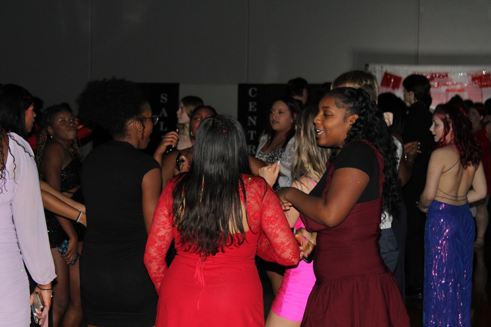 Sadie’s 2/15/2025 Photo Gallery