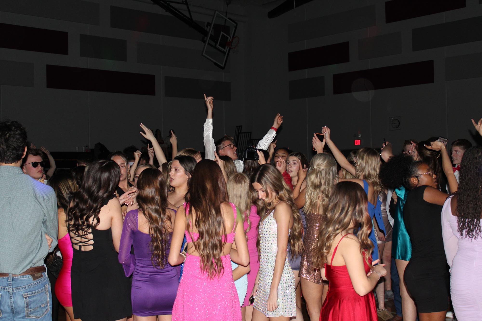 Sadie’s 2/15/2025 Photo Gallery