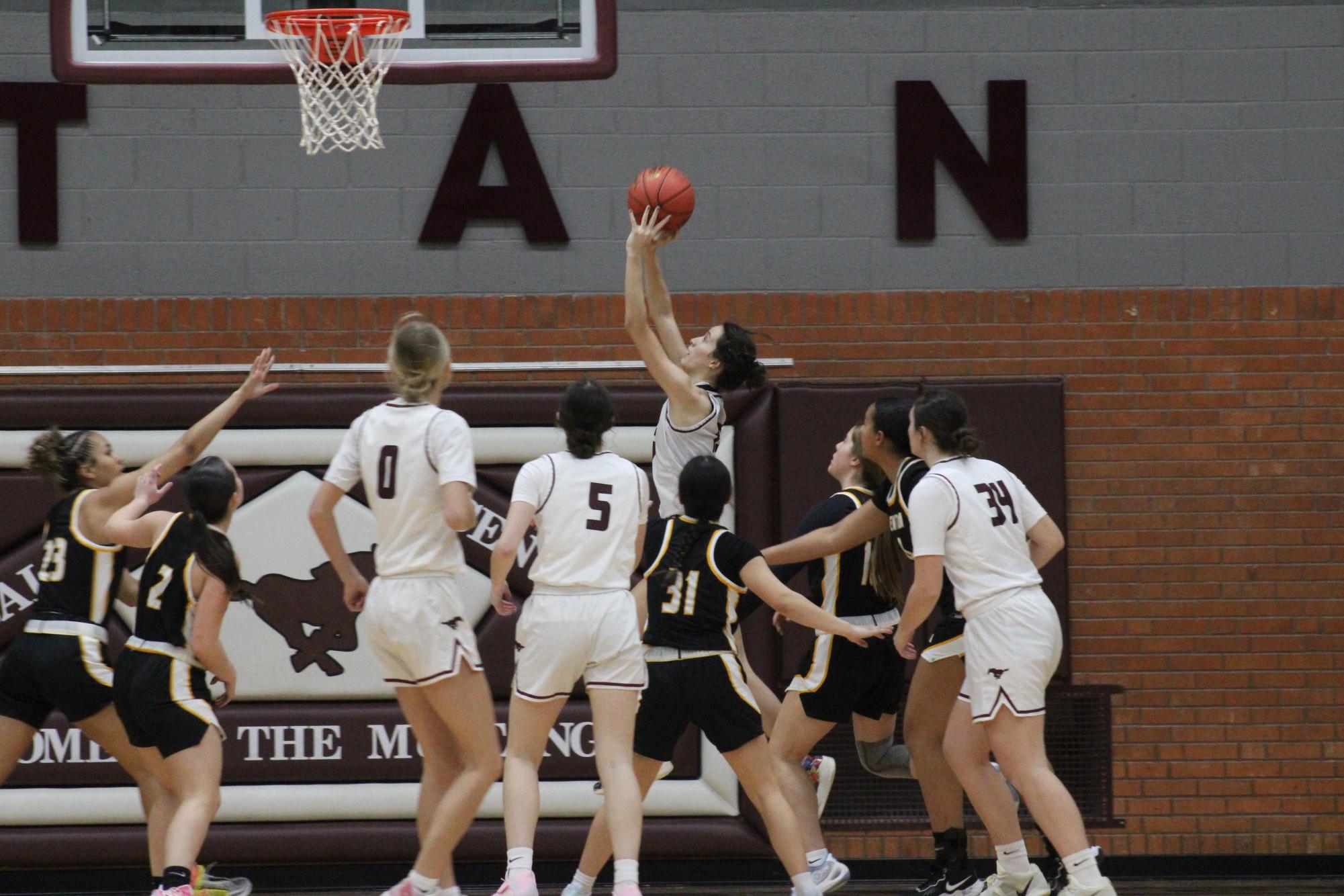 Varsity Girls Basketball vs. Newton 2/25 Photo Gallery