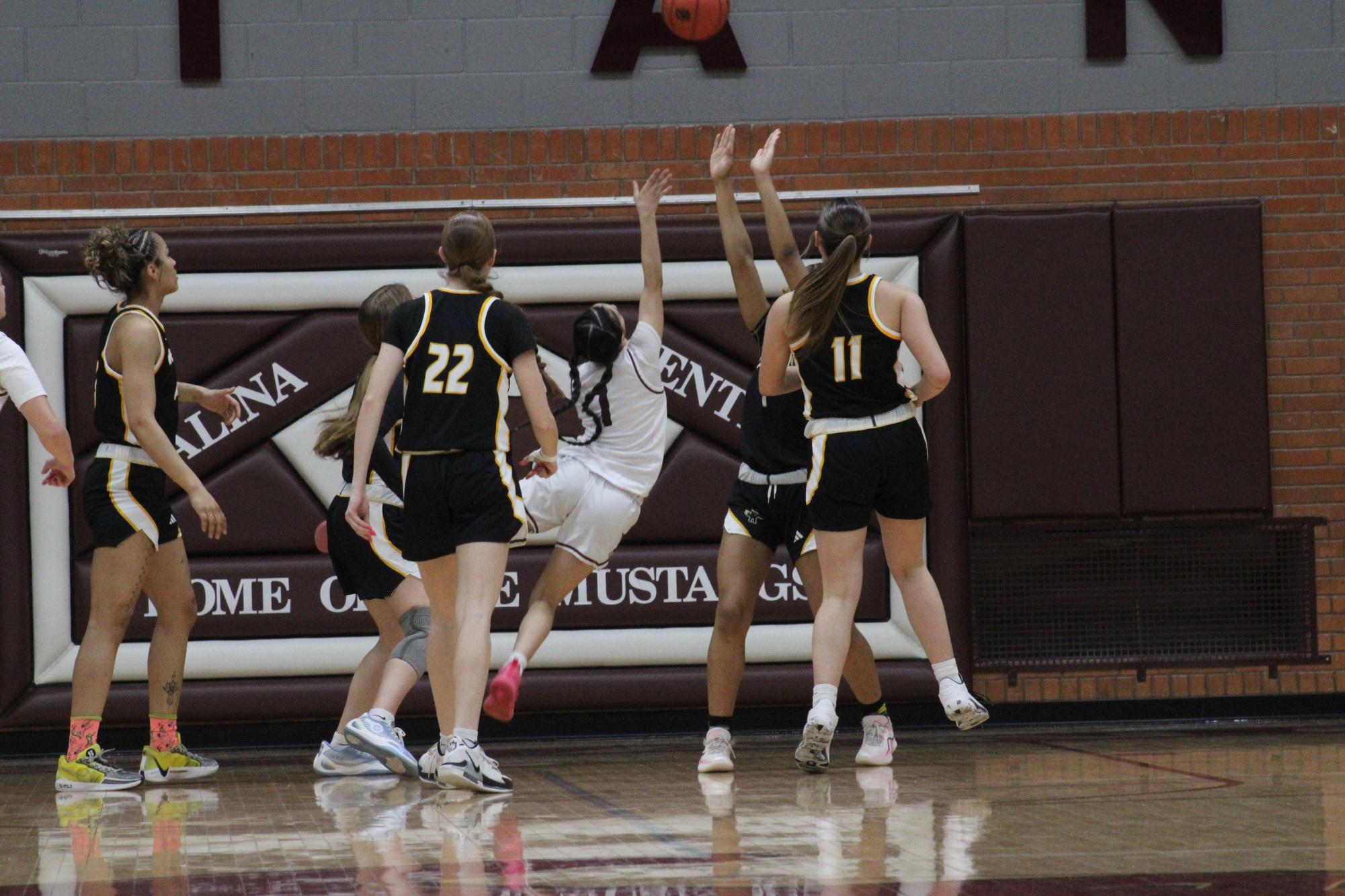 Varsity Girls Basketball vs. Newton 2/25 Photo Gallery