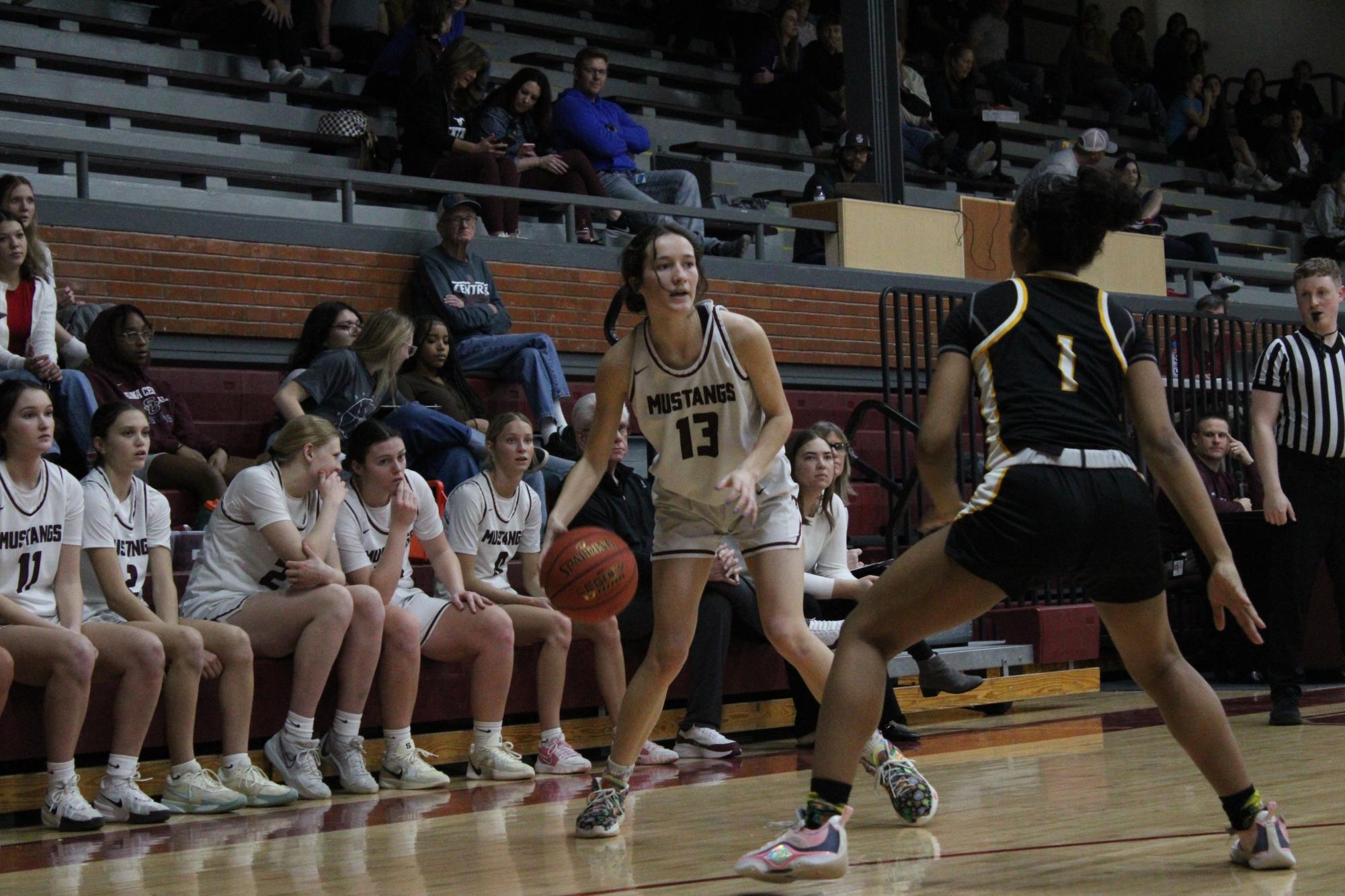 Varsity Girls Basketball vs. Newton 2/25 Photo Gallery