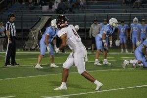 Mustangs on a stampede