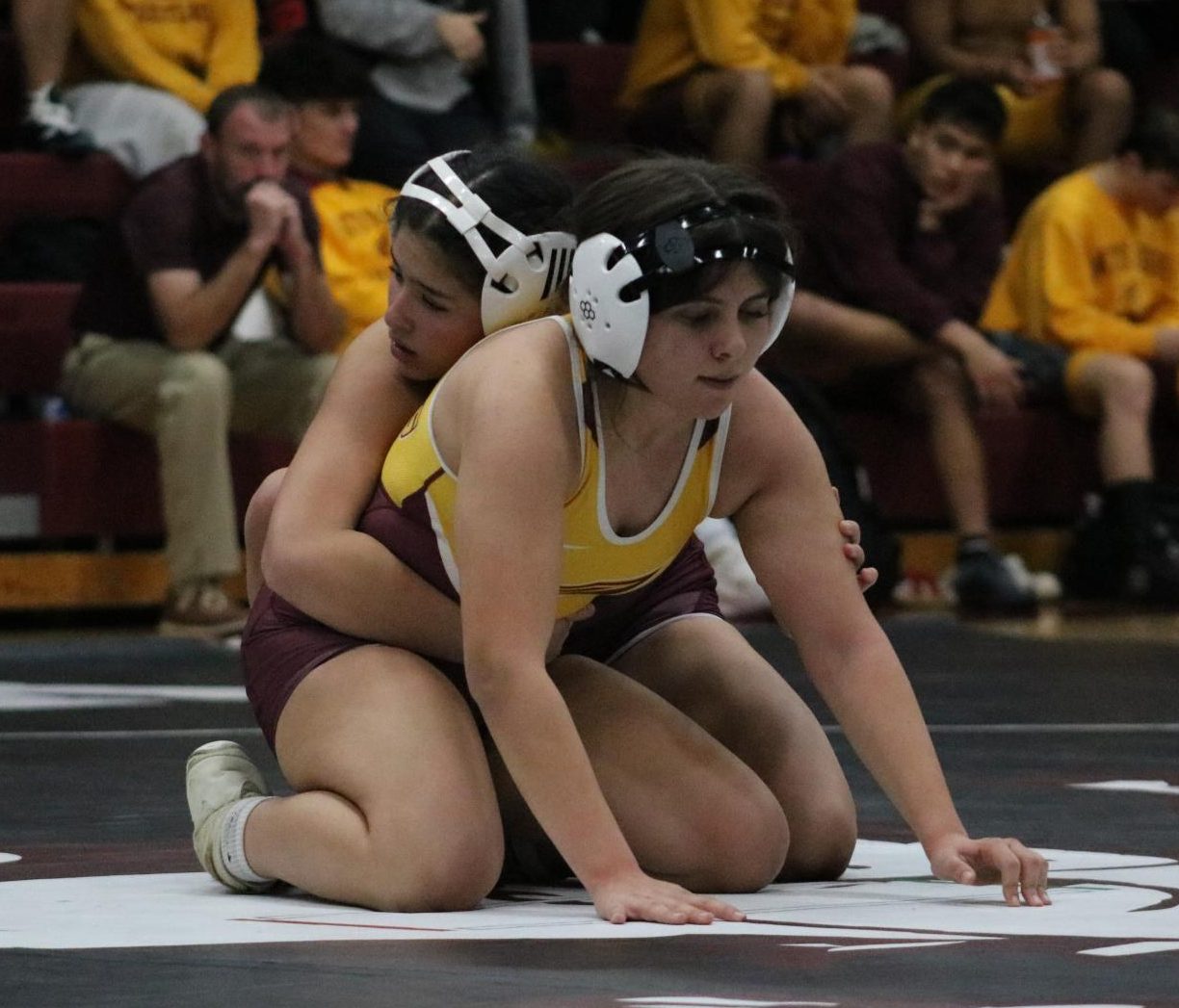 Varsity Girls Wrestling vs. Hays 12/11 Photo Gallery