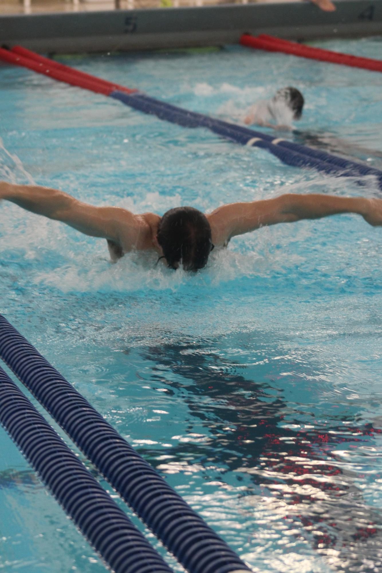 Boys Swimming vs. South 12/4 Photo Gallery