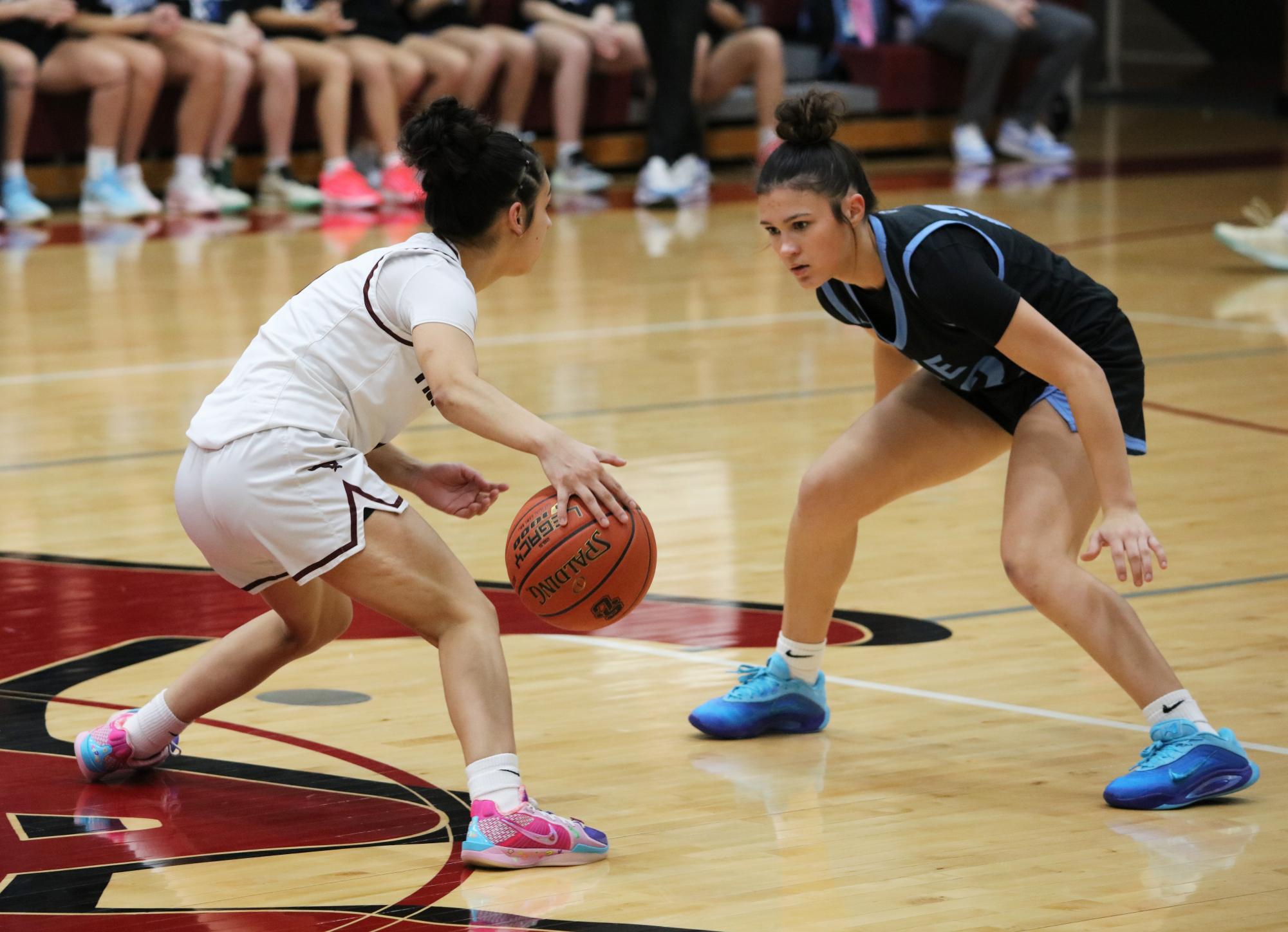 Varsity Girls Basketball vs. Eisenhower 1/16 (Winter Formal Court) Photo Gallery