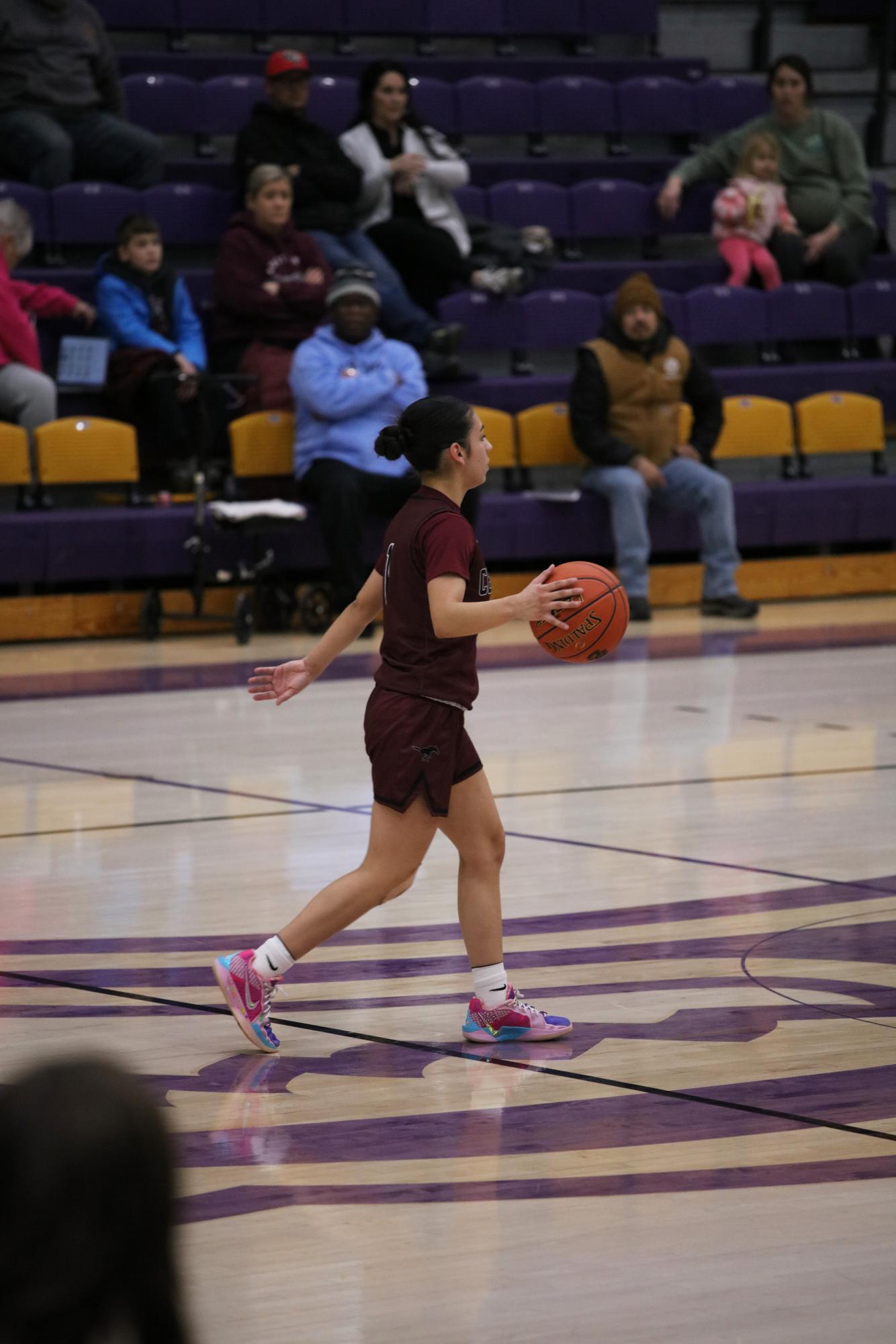 Varsity Girls Basketball vs. Wamego 1/23 (SIT) Photo Gallery