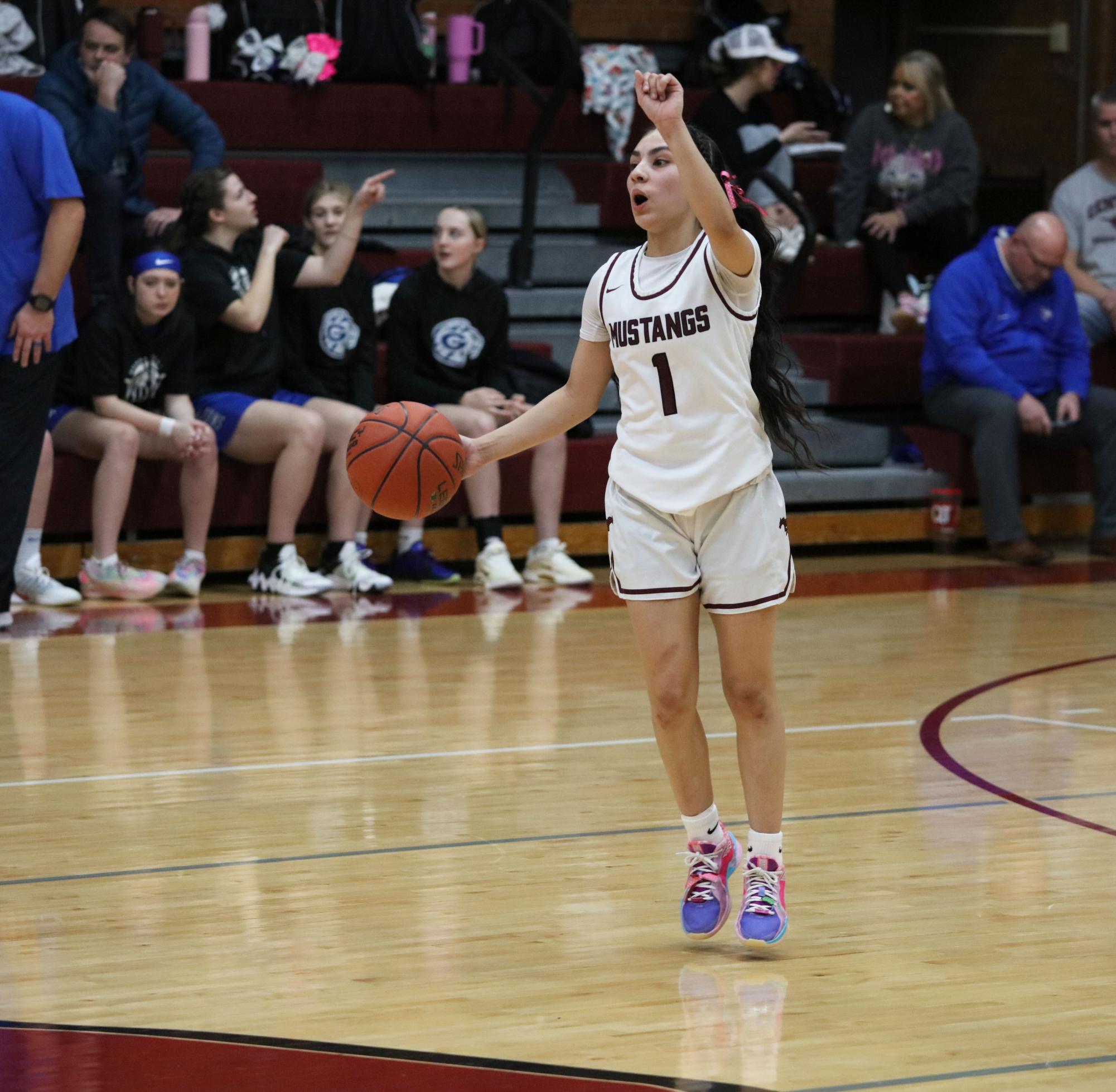 Varsity Girls Basketball vs. Goddard 2/20 (Senior Night) Photo Gallery