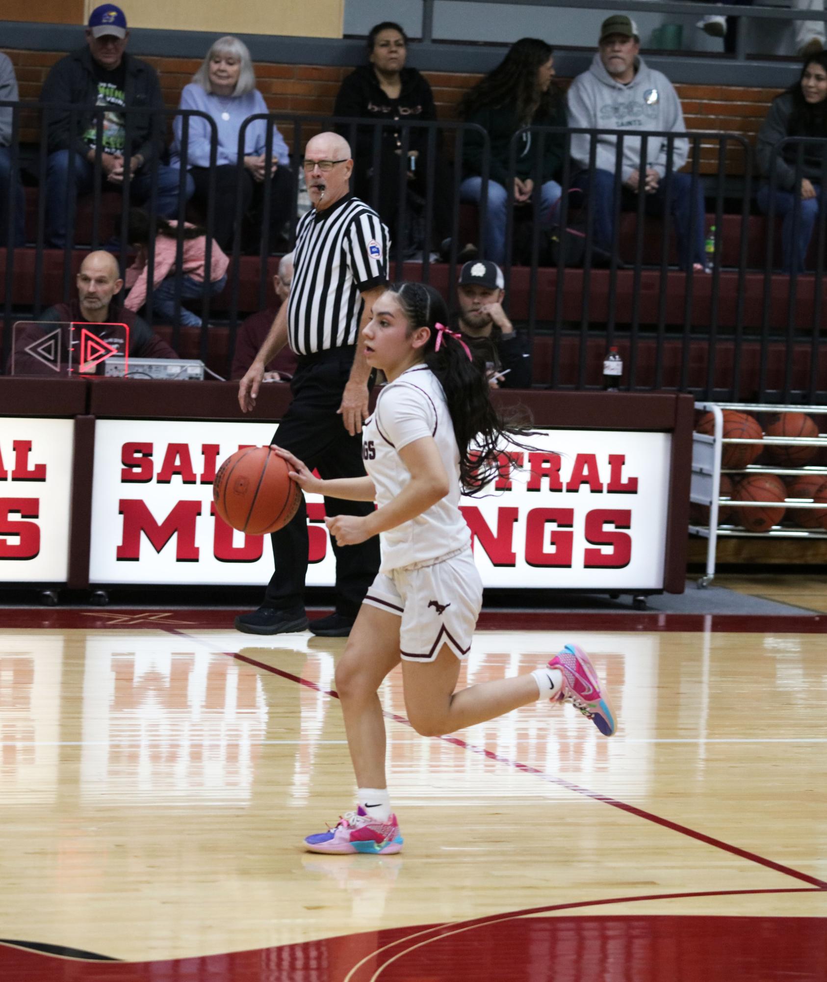 Varsity Girls Basketball vs. Goddard 2/20 (Senior Night) Photo Gallery
