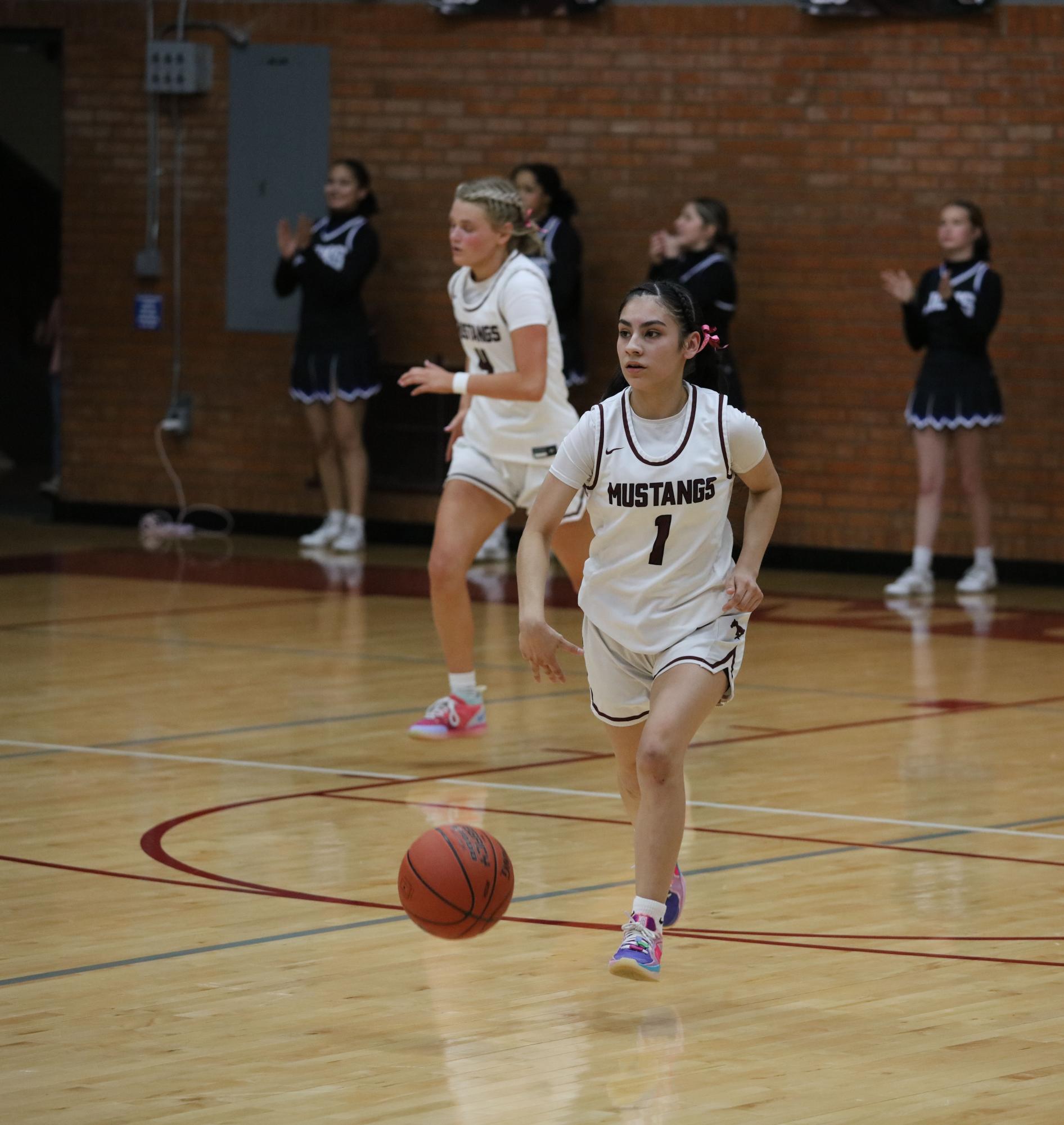 Varsity Girls Basketball vs. Goddard 2/20 (Senior Night) Photo Gallery