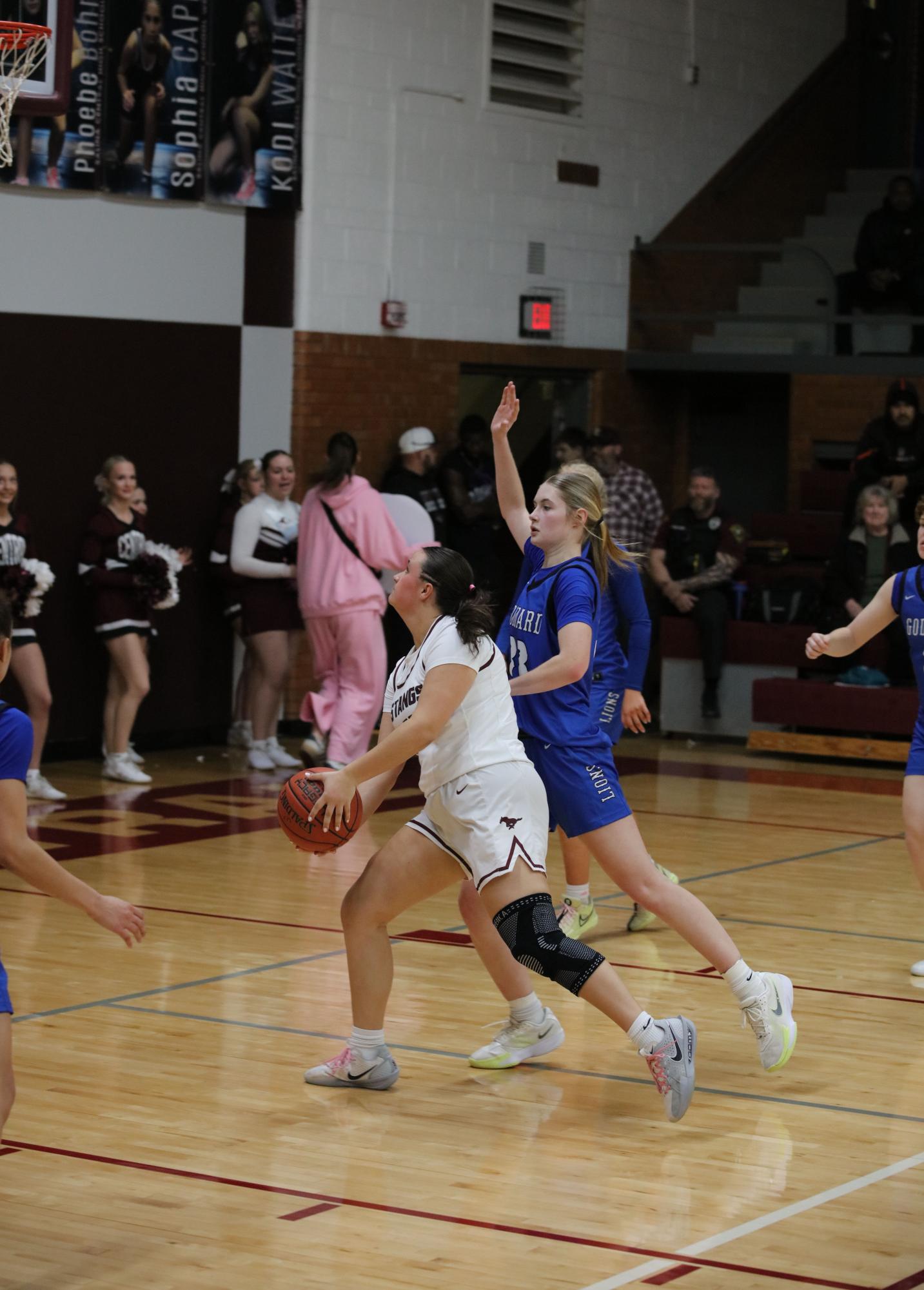 Varsity Girls Basketball vs. Goddard 2/20 (Senior Night) Photo Gallery
