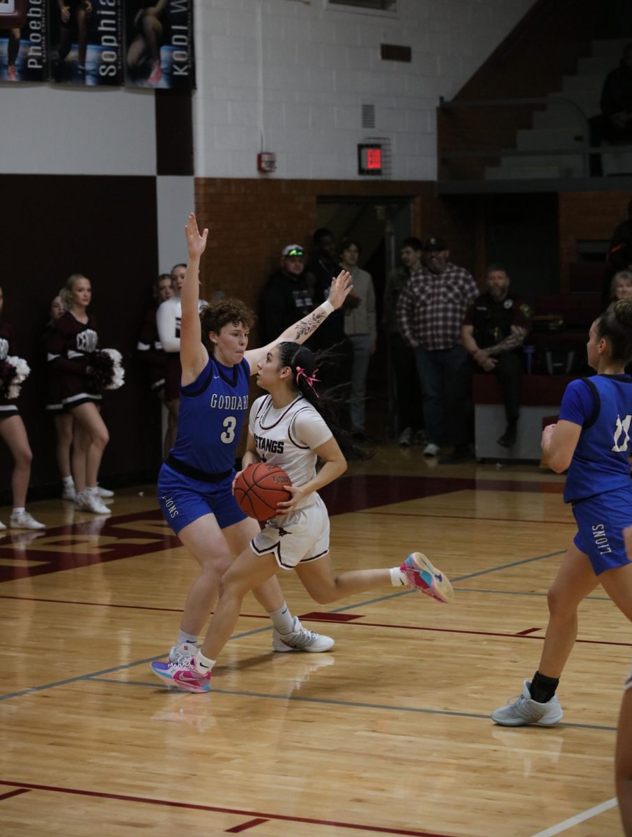 Varsity Girls Basketball vs. Goddard 2/20 (Senior Night) Photo Gallery