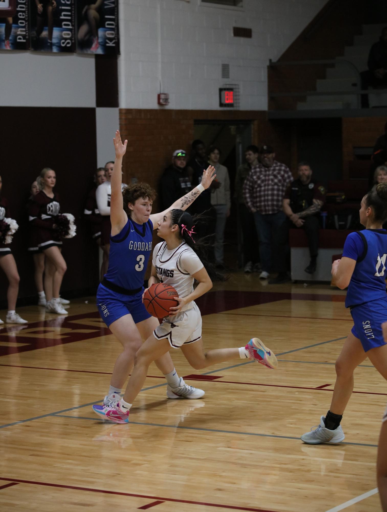 Varsity Girls Basketball vs. Goddard 2/20 (Senior Night) Photo Gallery