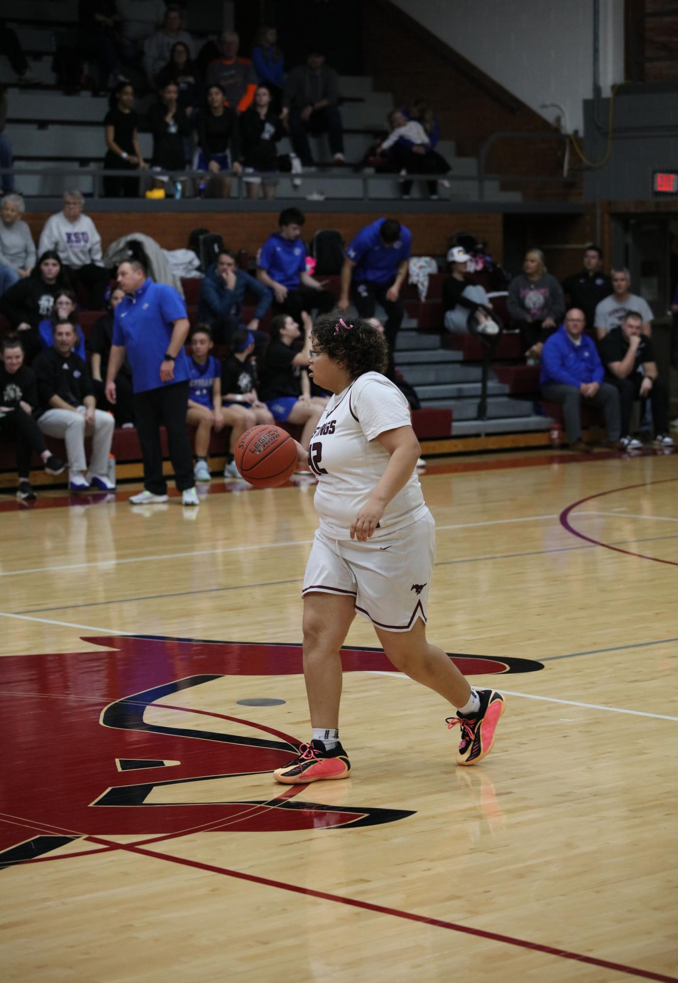 Varsity Girls Basketball vs. Goddard 2/20 (Senior Night) Photo Gallery