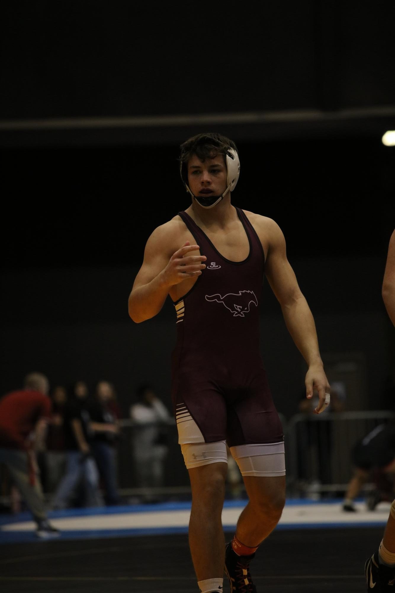 Boys State Wrestling Photo Gallery