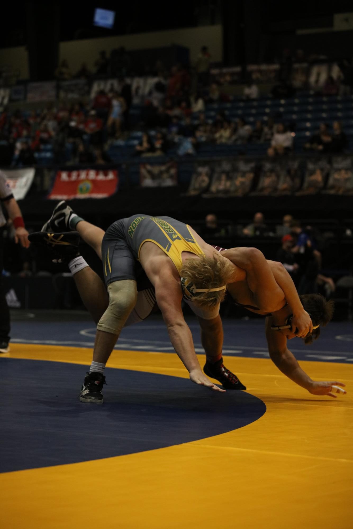 Boys State Wrestling Photo Gallery