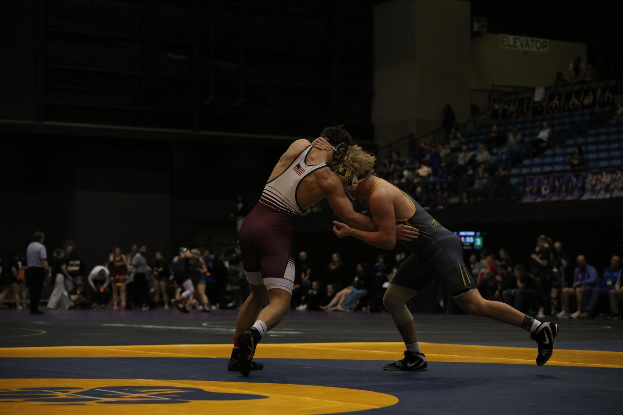 Boys State Wrestling Photo Gallery