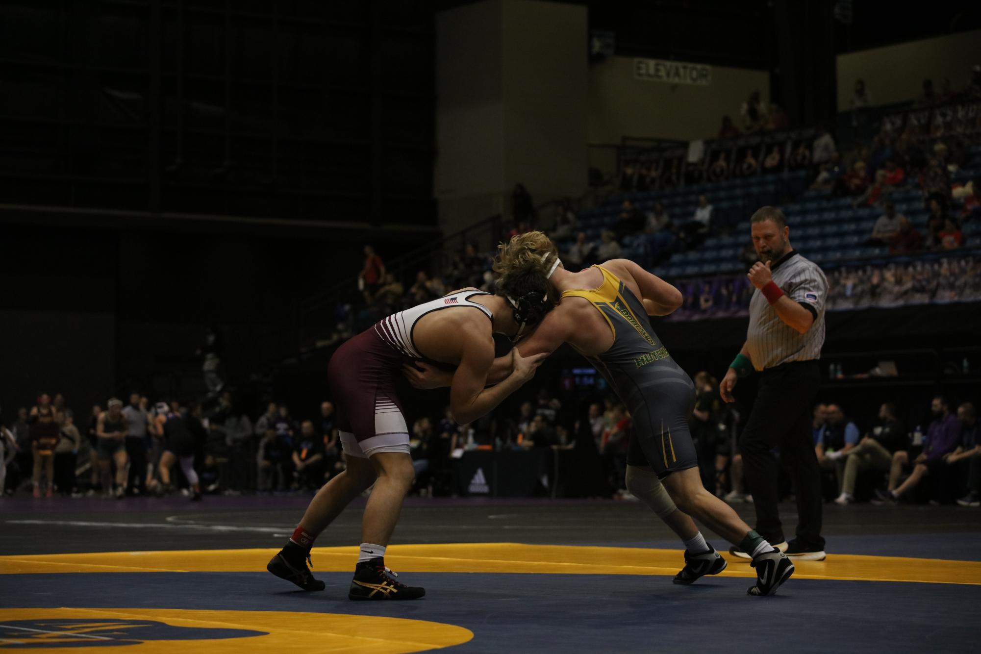 Boys State Wrestling Photo Gallery