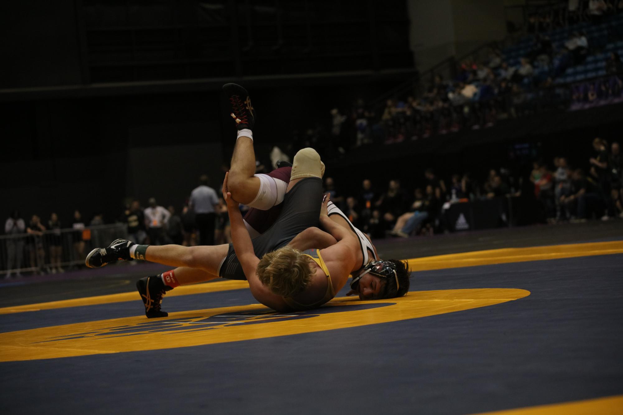 Boys State Wrestling Photo Gallery