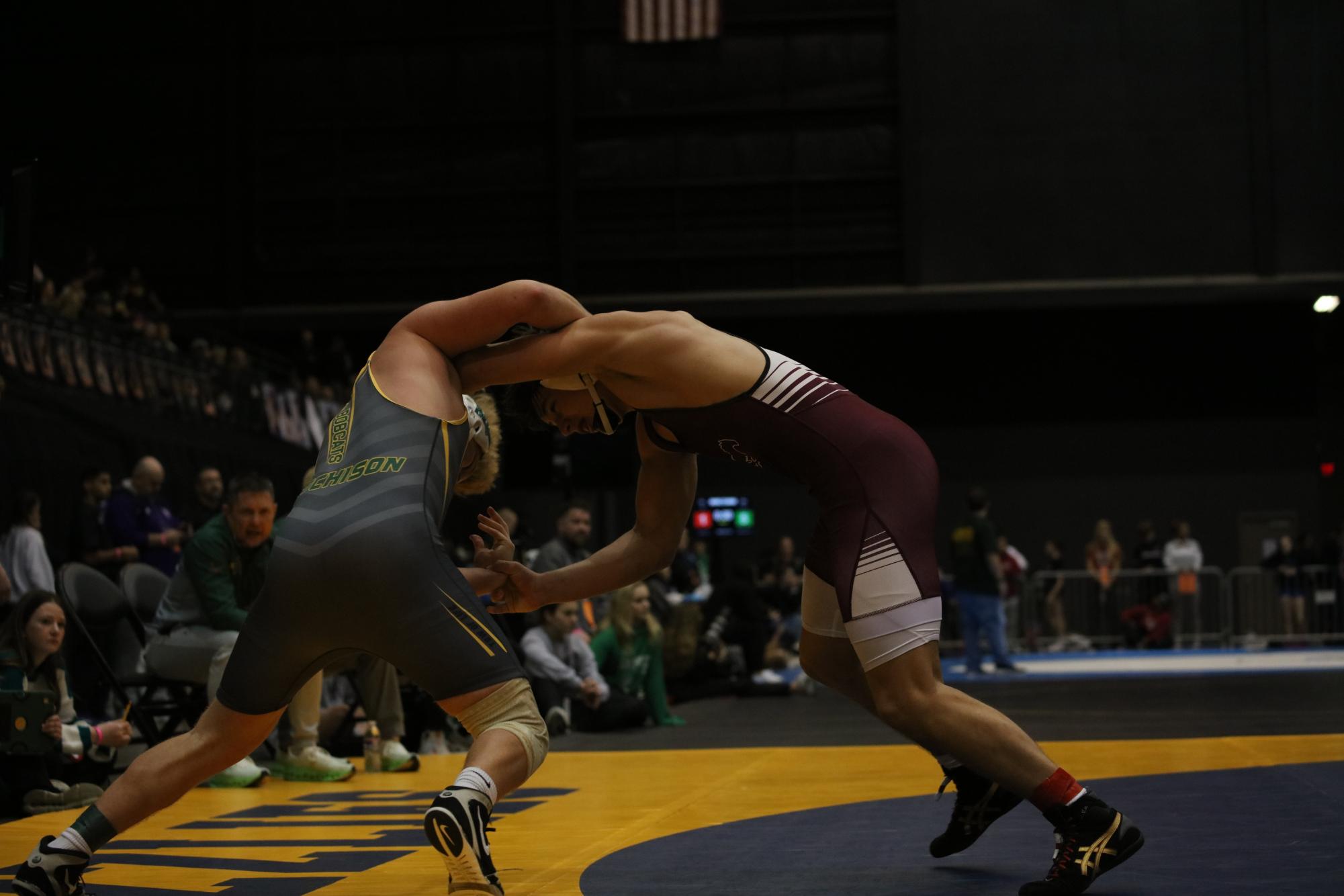 Boys State Wrestling Photo Gallery