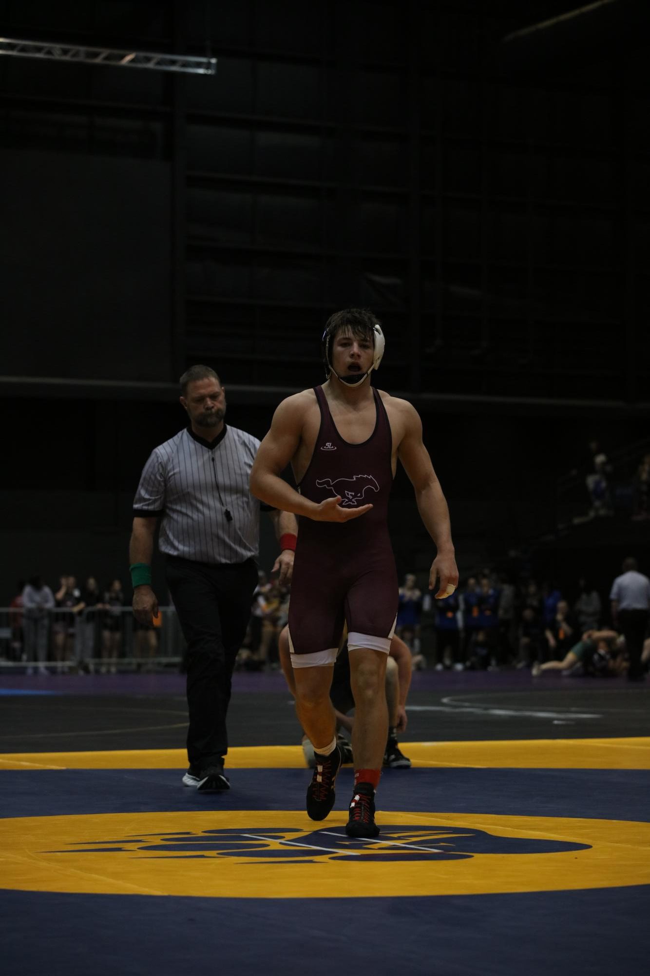 Boys State Wrestling Photo Gallery