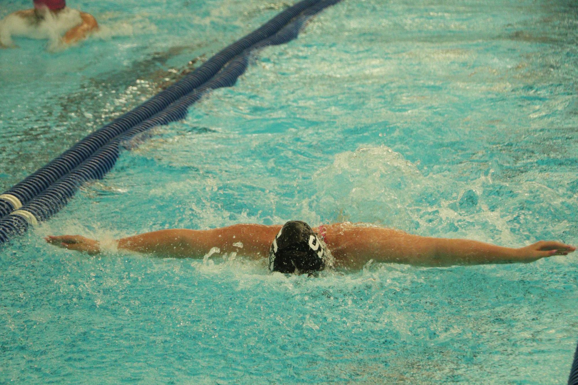 Girls Swimming meet (Home) 3/26 Photo Gallery
