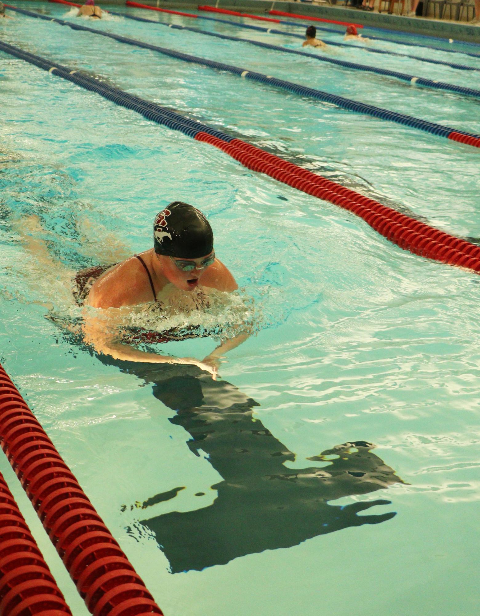 Girls Swimming meet (Home) 3/26 Photo Gallery